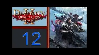 Divinity Original Sin II playthrough pt12 A Cave of Frogs and a Paralyzed Lord