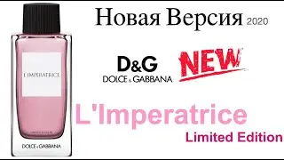 Обзор Аромата: l'imperatrice limited edition Dolce Gabbana