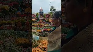 Flower exhibition 2026 | #shortsvideo #minivlog #trending #gardening