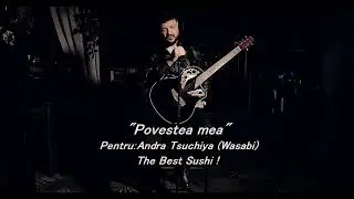 POVESTEA MEA - IOWAN