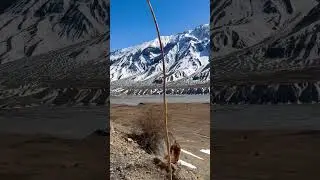 Kaza Spiti