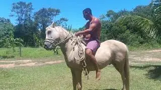 Esse &eacute; o meu cavalo corcel