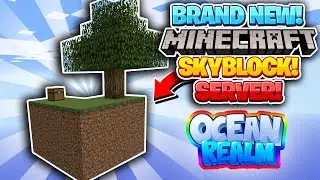 THE BEST MINECRAFT SKYBLOCK SERVER OF 2020! 1.16.1 *GIVEAWAY!* | Minecraft Skyblock | OceanRealm [3]