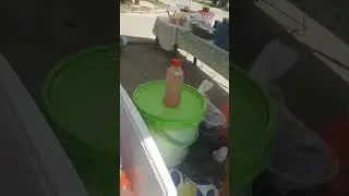 De lekkernijen van Clemmy Tay te Totness Coronie. Zij staat precies voor de markt.