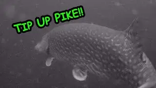 Ice Fishing Pike | How to setup your own Quick Strike Rig!