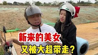 公司新来的美女，又要被大超带走了？