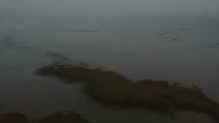 Moody Drone