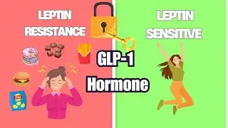 Leptin Resistance is the True Cause of Obesity and Ozempic Hormone (GLP-1) Reverses it!