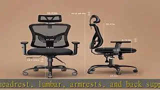 NOBLEWELL Office Chair Ergonomic Office Chair High Back Mesh Computer Chair with Lumbar Support Adj