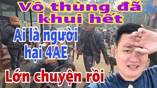 🔴31/12…rồi xong…Vô Thùng Khai hết- ai là nhóm lùa gà…ai Phá 4ae??#jackduky #thichminhtue