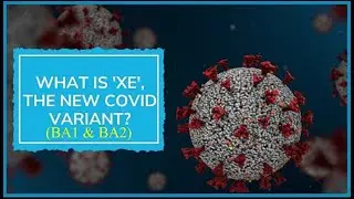 Is it leads to 4th wave ? What is XE Variant (BA1 and BA2) ?