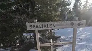 Säfsen 2025