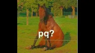 Sistemas de Producci&oacute;n animal  -  Clase 1