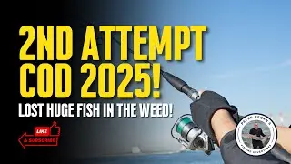 FISHING CAMBOIS ROCKS! 🧱 2nd Attempt Cod Season 2025 Crab Law Gully #fishing 