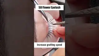 5D Flower Lash・Let your lashes bloom #lashes #lashify #lashset #eyelashespng #beauty #eyelashes