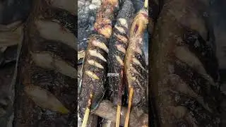 masak makan di pinggir sungai fishing and cooking #jemodusuntv
