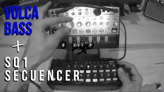 KORG│Volca Bass & SQ-1 Secuencer - Recoverin'
