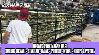 UPDATE STOK MALAM HARI !!! BURUNG KENARI - SINCHAN - JALAK - TRUCUK - MURAI - KICUIT BATU DLL