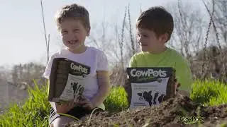 Growing in CowPots - so easy a kid can do it!