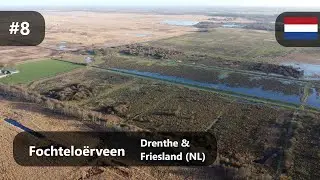Flight at the Fochteloërveen (Natura2000) - Old Peat Extraction Area - Drenthe/Friesland (NL)