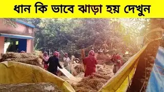 গ্রামে ধান কাটার পর কি ভাবে ঝাড়া হয় || গ্রাম বাংলা আমার বাংলা || গ্রামের ছেলে শুভ ||