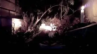 Consider Suicide - H&auml;rda (official video)