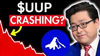 UUP Stock CRASHING Next!? (Thank Me Later Bro) Invesco DB US stock best broker review