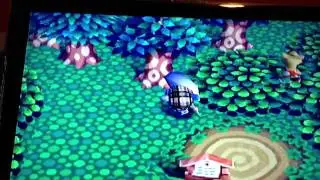 AC GameCube: Evening cicada