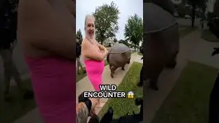 Unexpected Hippo Encounter Ends in Hilarious Chaos #Shorts #Bodycam #Funny
