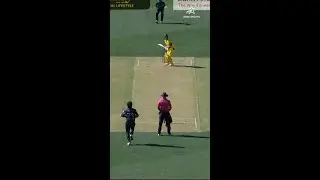 Fun Banter Between Adam Zampa & Muhammad Rizwan |  #AUSvPAKOnStar