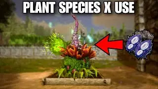 Plant Species X Seed Uses in Ark Mobile (hindi)