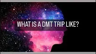 Evan Wade talks about his Psychedelic Experiences
