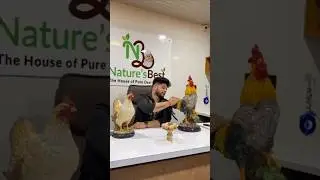 Saurabh Tapkir /Nature's Best 🐓#business #desi #motivation #viral #farming #new #chicken