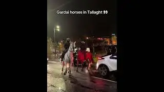 Garda Horses