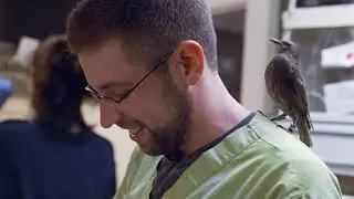 Wild Bird Fund Internship