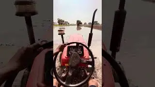 PANJAB VIBES | WITHOUT MUSIC | CULTURE | PUNJAB | FARMER