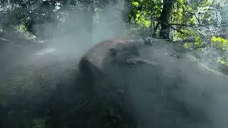 Team Seahawk Randuk Wild Hunt - Official Video