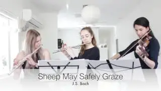 Brisbane Wedding Music Demo | Flute & Violin Duo/Trio