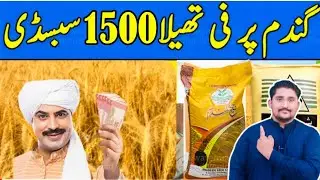 Wheat subsidy update | How to get Subsidy on Wheat | Wheat Subsidy Scheme || Apna Kisan Pakistan
