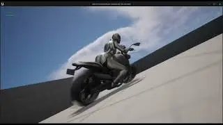 Bike Physics and Rider behaviour