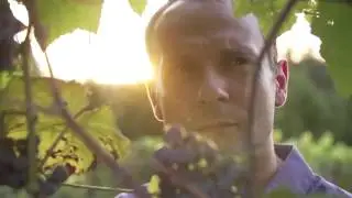 Chateau Elan Winery Featurette Summer 2017