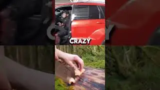 KAIs NEW TRACKHAWK 🌶️ #kaicenat #ratcenat #wefriendstho #car