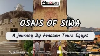 Echoes of the Past: An Immersive Historical Tour of Egypt