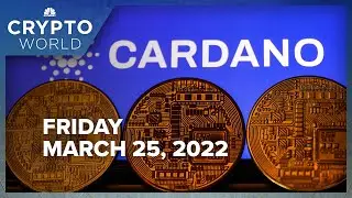 Bitcoin prices cross $44,000 level as crypto rally continues: CNBC Crypto World