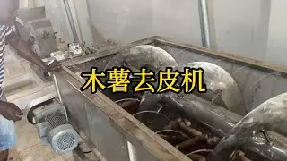 木薯去皮机，去除木薯两层皮，可大大提高木薯粉的加工效率！另外，木薯去皮机上还配备有喷淋系统，可对木薯进行连续喷淋，同时实现清洗与去皮同时进行#machine #cassva