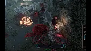 Divinity Original Sin 2, Lamenting Abomination fight in act II, solo, honour mode