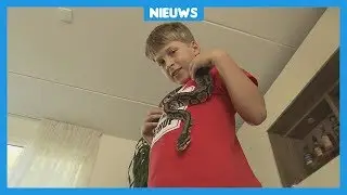 Steeds meer verjaardagsfeestjes met dieren