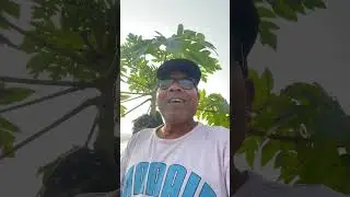 Es dharati pe na jane.