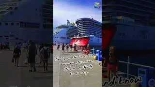 Some times it is deciding which ship to go on #cruiselife #oceanviews #choices #travel