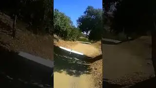 Sandpiper Pursuit